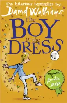 Direct From Factory The Boy in the Dress