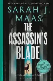 New Arrival The Assassin's Blade