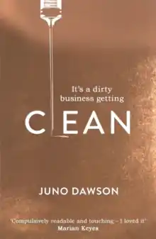 New Arrival Clean