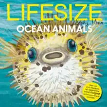 Lifesize Ocean Animals Fresh Stock