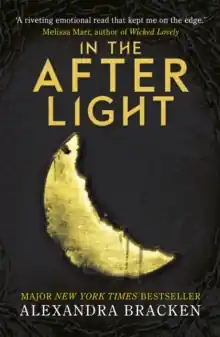 Premium A Darkest Minds Novel: In the Afterlight