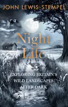 Shop Now Night Life             : Walking Britain’s wild landscapes after dark