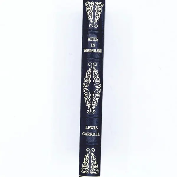 Illustrated Alice in Wonderland by Lewis Carroll Brand New
