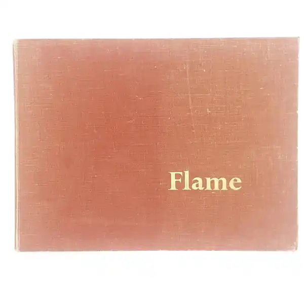 Seasonal Sale Illustrated Flame by Daphne Winstone 1946
