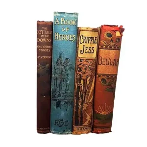 Vintage Four Book Red and Blue Collection Affordable