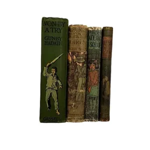 Green Vintage Four Book Collection Limited Time