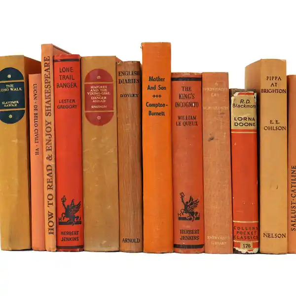 BOOKS BY THE METRE: Vintage Orange High Quality