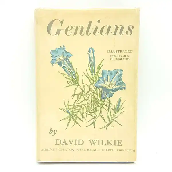 Editor’s Pick Gentians by David Wilkie 1936