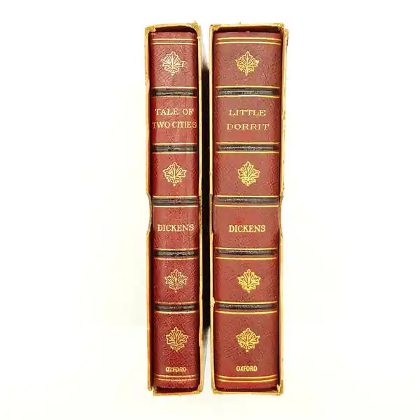The 'Illustrated' Dickens - Two Volume Collection Free Delivery