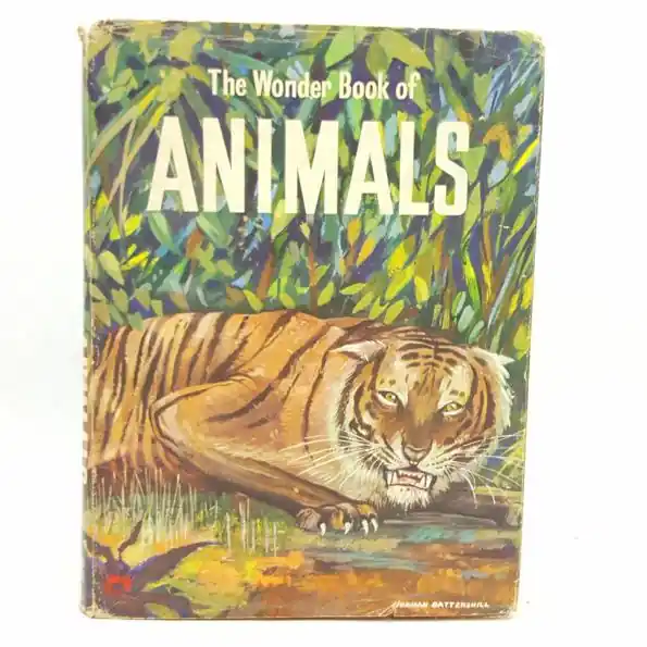 Save Now The Wonder Book of Animals 1960