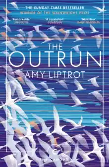 The Outrun Reduced Price